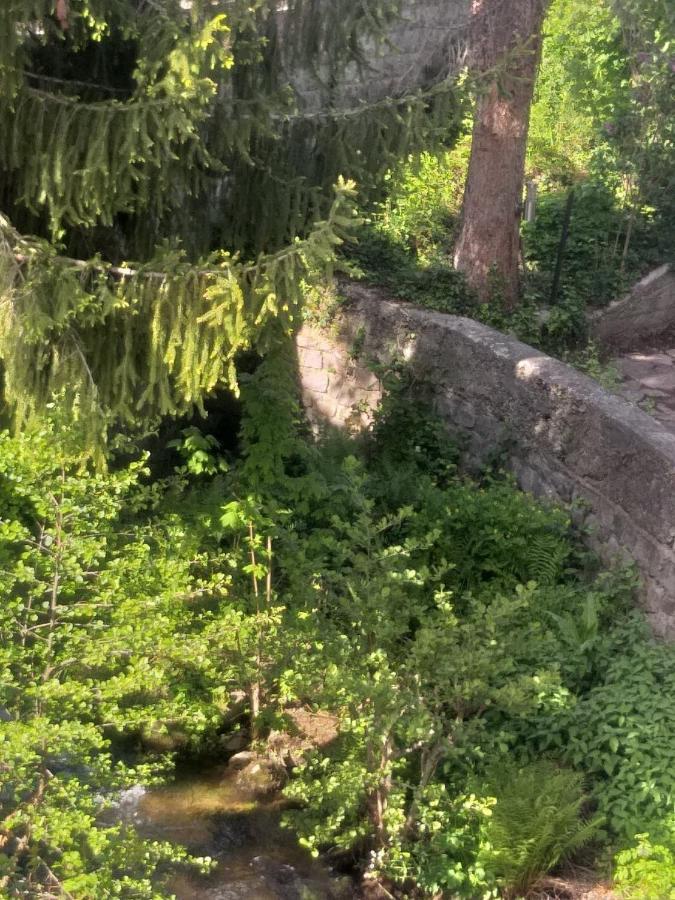 Résidence SoAnSa du Gérardmer - Col de la Schlucht Soultzeren Exterior foto